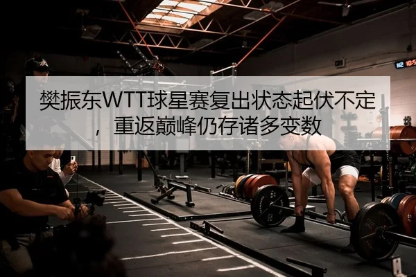 樊振东WTT球星赛复出状态起伏不定，重返巅峰仍存诸多变数